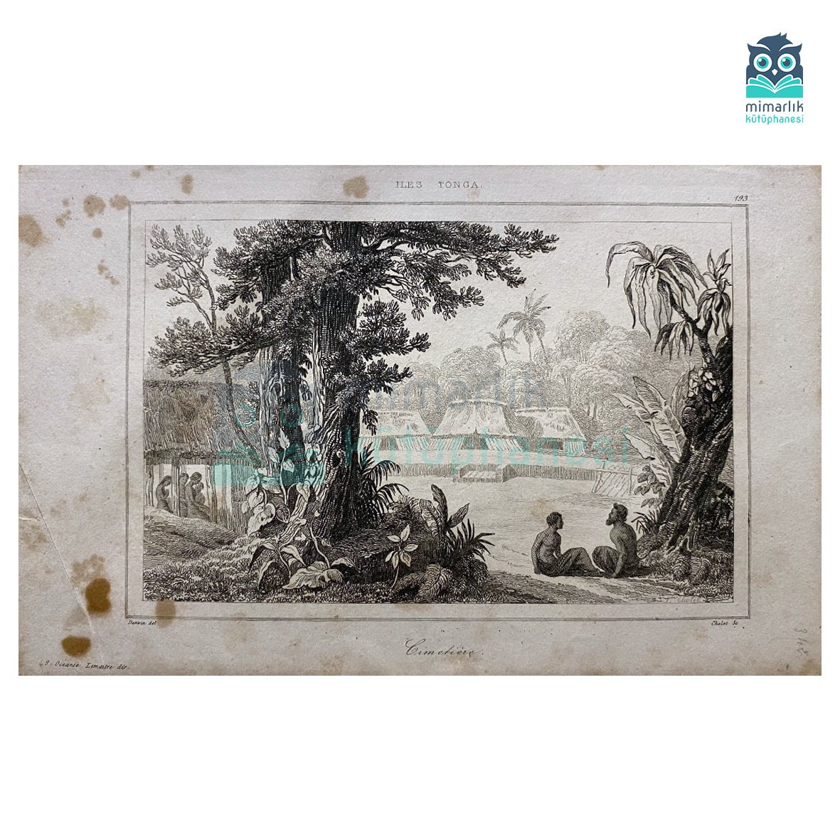 Cimetière, Iles Tonga (1836)